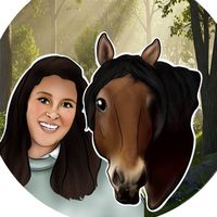 equi._indy