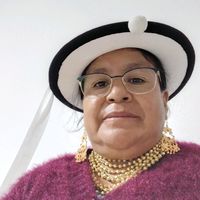 teresapichasaca52