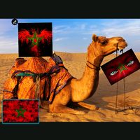 khalidlaghfiri6