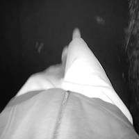 .v3nt.xb