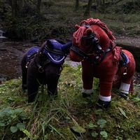 lemieuxtoyponys