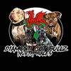 diamond_cut_bullz_nwales