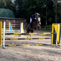 equiijumper