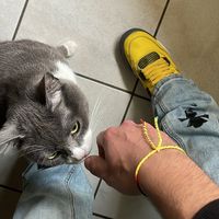 gabriele_zx