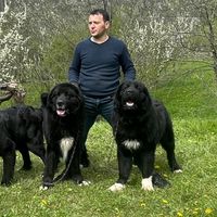 catalin.dumitrescu.123