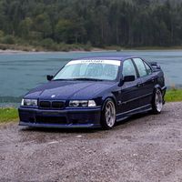savage.e36