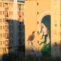 video.stati_29