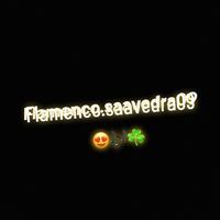flamenco.saavedra09