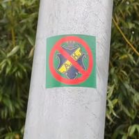 hammarby55