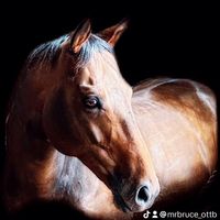 mrbruce_ottb