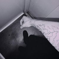 ricsirics77
