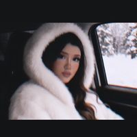 eilfbraci