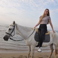 scheckenpony_official