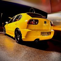 yellow_pd_leon