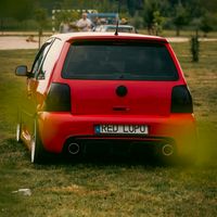 red_lupo_by_specu