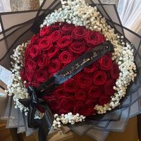 nura_557