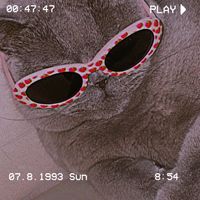emilyzrg_