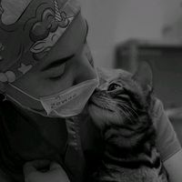 _vetstudent_