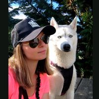 kirathewildhusky