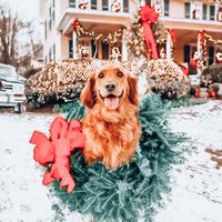 ella.robloxx1