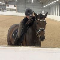 engelhardtequestrian