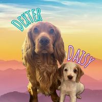 dexteranddaisysdiaries