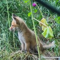 tierliebe81
