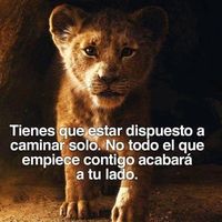 mayra_12879