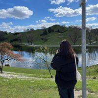 TikTok Account - https://p16-pu-ie.tiktokcdn-eu.com/tos-useast2a-avt-0068-euttp/6fdf6697a242e8466d995e554d2d3ae0~tplv-tiktokx-cropcenter:200:200.jpeg