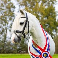 mirthe69
