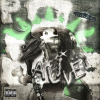 talibanlover.911