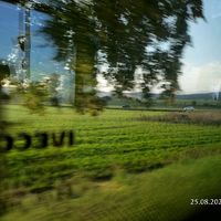 luca_5440