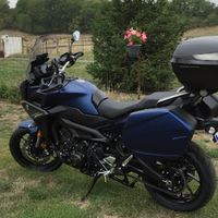 framboise651