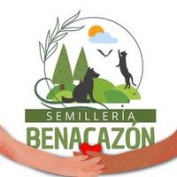 semilleria.benacazon