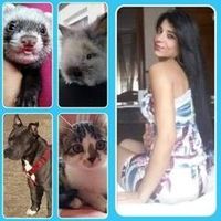 maria.jose.cubillo
