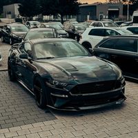 mustangx500