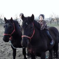 georgelupu41