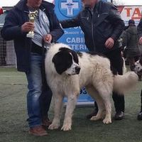 trutapomohaci6