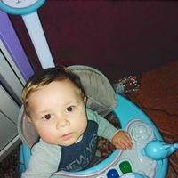 vasile.petrea8