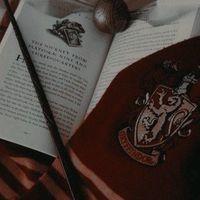 _potterhead_3004