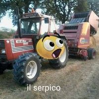 francesco.mariani845