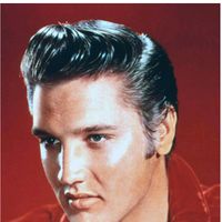 elvis.presley.fanpage1