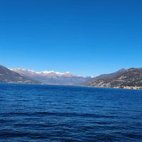 TikTok Account - https://p16-pu-ie.tiktokcdn-eu.com/tos-useast2a-avt-0068-euttp/7335b3aa8e583c420684646970448be7~tplv-tiktokx-cropcenter:200:200.jpeg