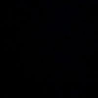 finix.xex