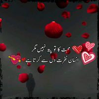 dawoodshahzad001