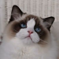 margaretmybutterf
