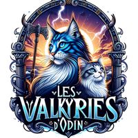 les.valkyries.dodin