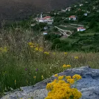 TikTok Account - https://p16-pu-ie.tiktokcdn-eu.com/tos-useast2a-avt-0068-euttp/7374329465351962656~tplv-tiktokx-cropcenter-q:200:200:q70.webp