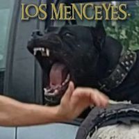 presacanariolosmenceyes_
