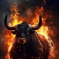 eltoro255